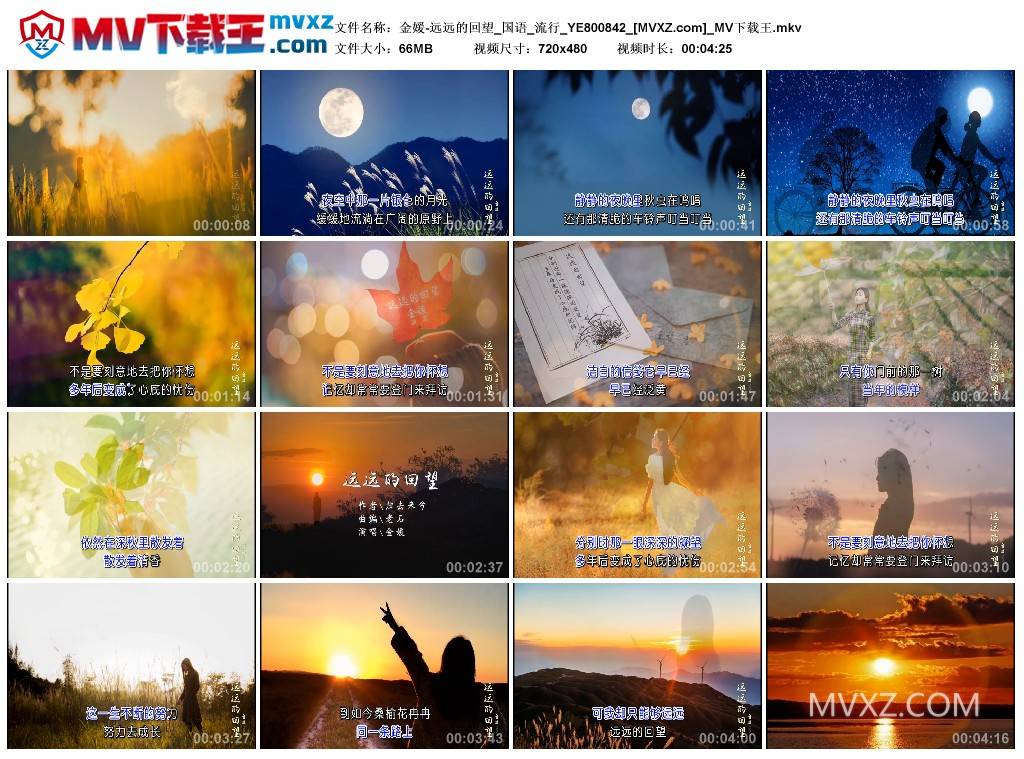 金媛-远远的回望_国语_流行_YE800842